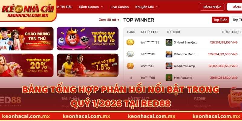 Bảng tổng hợp phản hồi nổi bật trong quý 1/2026 tại RED88