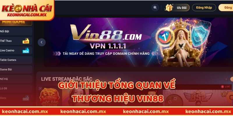 Giới thiệu tổng quan về thương hiệu Vin88