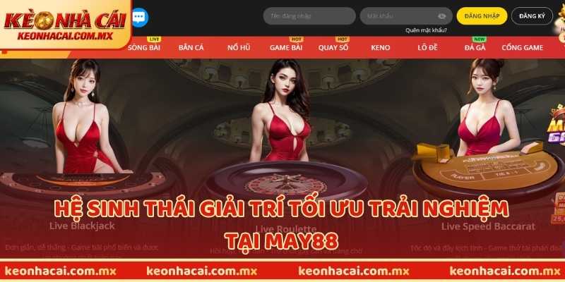 Hệ sinh thái giải trí tối ưu trải nghiệm tại MAY88