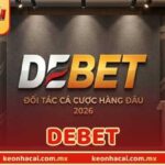 Về Debet - Sân Chơi Uy Tín Hàng Đầu Tại Trang Kèo Bóng Đá