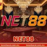 NET88 - Giới Thiệu Đơn Vị Cá Cược Hấp Dẫn, An Toàn Top 1