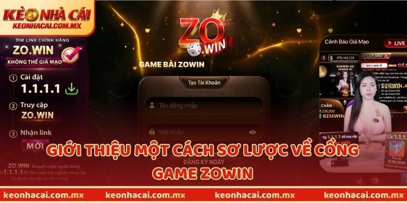 Giới thiệu một cách sơ lược về cồng game ZOWIN
