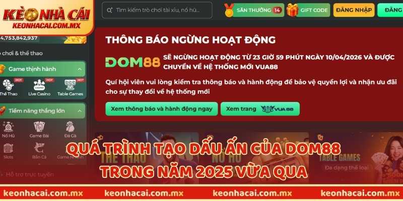 Quá trình tạo dấu ấn của DOM88 trong năm 2025 vừa qua