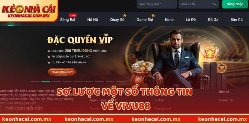 Sơ lược một số thông tin về VIVU88