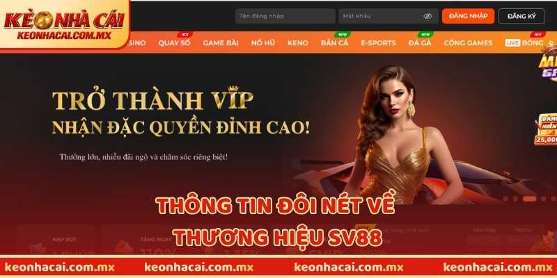 Thông tin đôi nét về thương hiệu SV88
