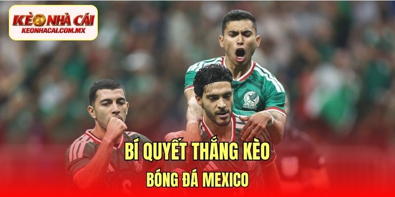Bí quyết thắng kèo bóng đá Mexico