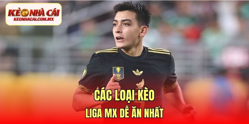 Các loại kèo Liga MX dễ ăn nhất