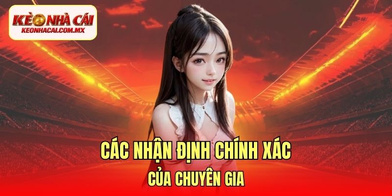 Các nhận định chính xác của chuyên gia