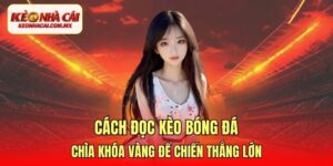 cách đọc kèo bóng đá