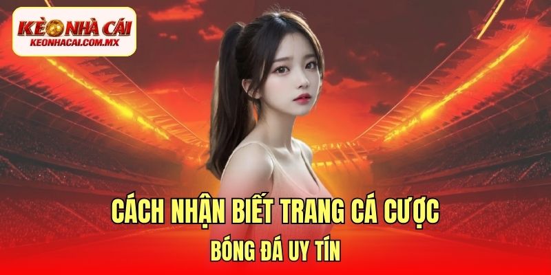 Cách nhận biết trang cá cược bóng đá uy tín