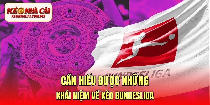 Cần hiểu được những khái niệm về kèo bundesliga