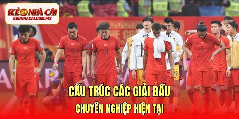Cấu trúc các giải đấu chuyên nghiệp hiện tại