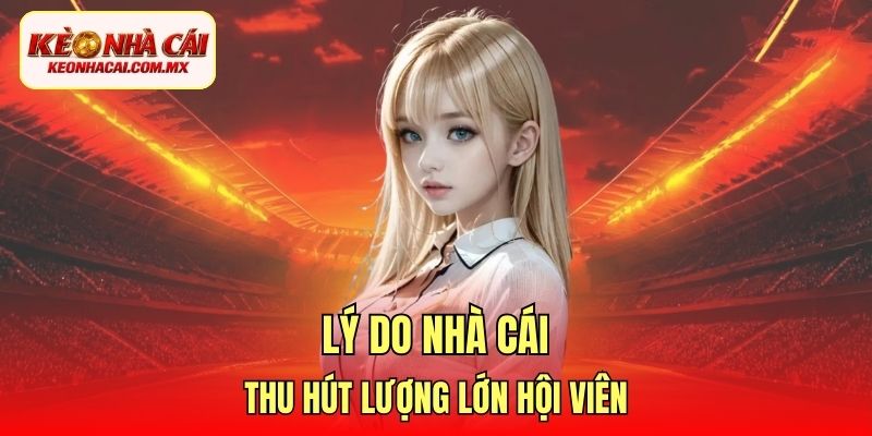 Lý do nhà cái thu hút lượng lớn hội viên