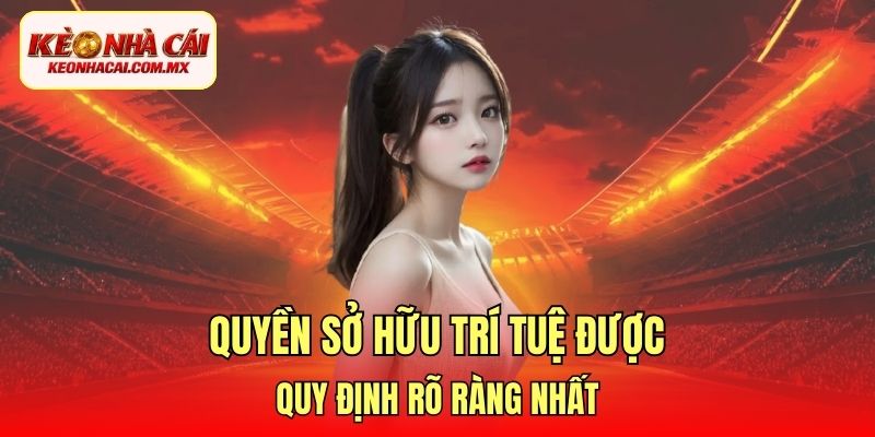 Quyền sở hữu trí tuệ được quy định rõ ràng nhất