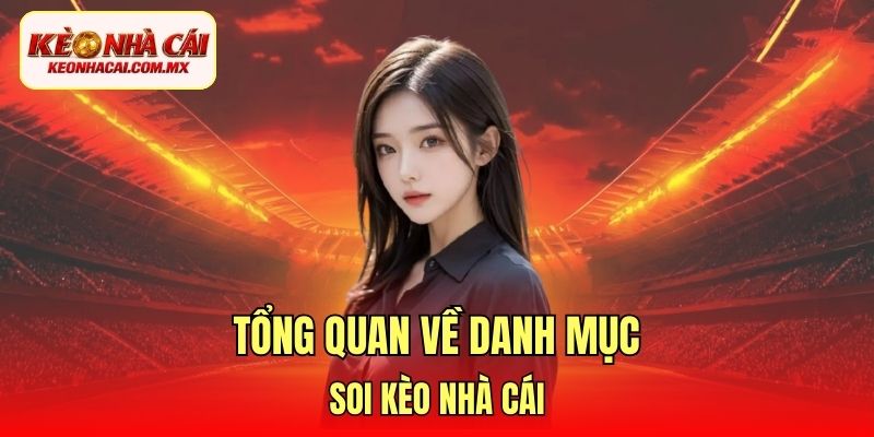 Tổng quan về danh mục soi kèo nhà cái
