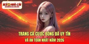 Trang cá cược bóng đá uy tín