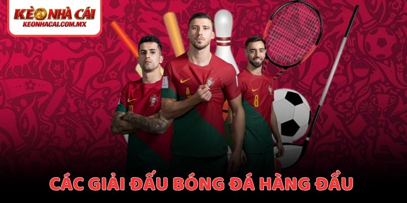 Tổng hợp các giải đấu bóng đá hấp dẫn nhất hành tinh